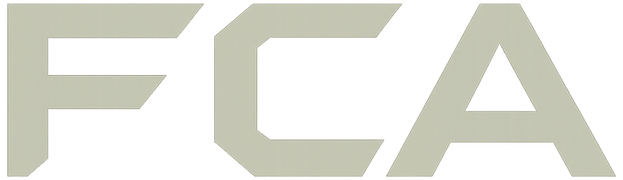 Frank Castle Audits Logo